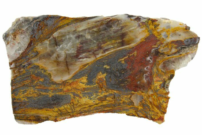 Colorful Binghamite Agate Slab - Minnesota #141166